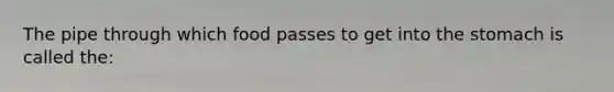 The pipe through which food passes to get into the stomach is called the: