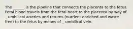 The ______ is the pipeline that connects the placenta to the fetus. Fetal blood travels from the fetal heart to the placenta by way of _ umbilical arteries and returns (nutrient enriched and waste free) to the fetus by means of _ umbilical vein.