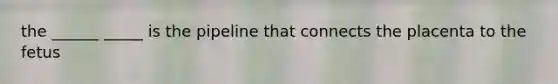 the ______ _____ is the pipeline that connects the placenta to the fetus