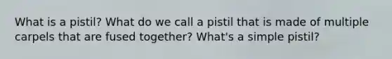 What is a pistil? What do we call a pistil that is made of multiple carpels that are fused together? What's a simple pistil?