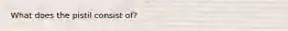 What does the pistil consist of?