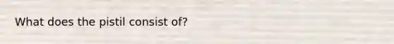 What does the pistil consist of?