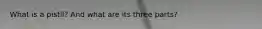 What is a pistil? And what are its three parts?