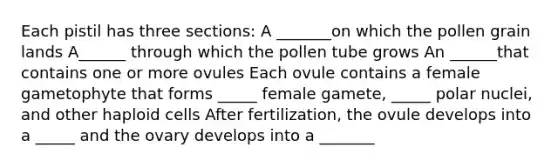 Each pistil has three sections: A _______on which the pollen grain lands A______ through which the pollen tube grows An ______that contains one or more ovules Each ovule contains a female gametophyte that forms _____ female gamete, _____ polar nuclei, and other haploid cells After fertilization, the ovule develops into a _____ and the ovary develops into a _______