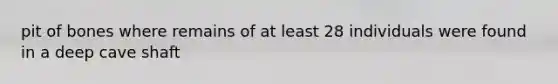 pit of bones where remains of at least 28 individuals were found in a deep cave shaft