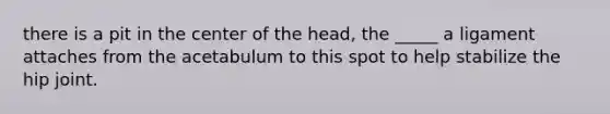 there is a pit in the center of the head, the _____ a ligament attaches from the acetabulum to this spot to help stabilize the hip joint.