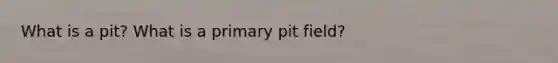 What is a pit? What is a primary pit field?