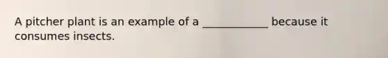 A pitcher plant is an example of a ____________ because it consumes insects.