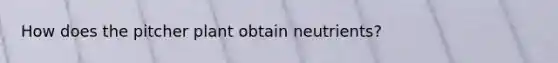 How does the pitcher plant obtain neutrients?