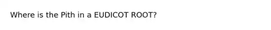 Where is the Pith in a EUDICOT ROOT?