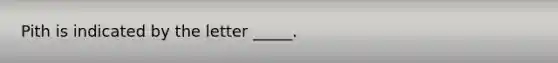 Pith is indicated by the letter _____.