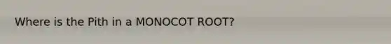 Where is the Pith in a MONOCOT ROOT?