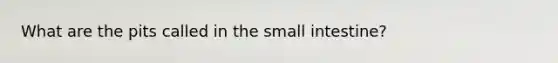 What are the pits called in <a href='https://www.questionai.com/knowledge/kt623fh5xn-the-small-intestine' class='anchor-knowledge'>the small intestine</a>?