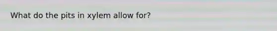 What do the pits in xylem allow for?