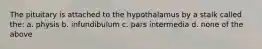 The pituitary is attached to the hypothalamus by a stalk called the: a. physis b. infundibulum c. pars intermedia d. none of the above