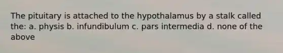 The pituitary is attached to the hypothalamus by a stalk called the: a. physis b. infundibulum c. pars intermedia d. none of the above