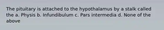 The pituitary is attached to the hypothalamus by a stalk called the a. Physis b. Infundibulum c. Pars intermedia d. None of the above