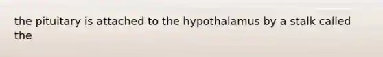 the pituitary is attached to the hypothalamus by a stalk called the