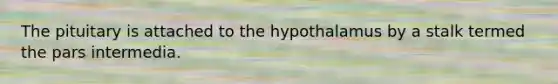 The pituitary is attached to the hypothalamus by a stalk termed the pars intermedia.