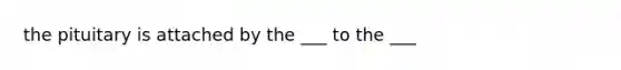 the pituitary is attached by the ___ to the ___