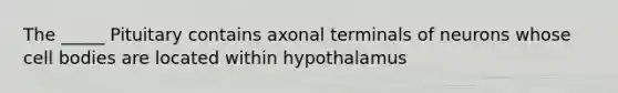 The _____ Pituitary contains axonal terminals of neurons whose cell bodies are located within hypothalamus