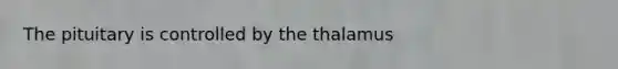 The pituitary is controlled by the thalamus