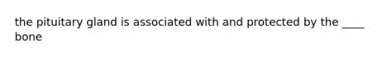 the pituitary gland is associated with and protected by the ____ bone