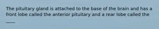 The pituitary gland is attached to the base of the brain and has a front lobe called the anterior pituitary and a rear lobe called the ____