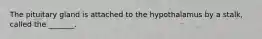 The pituitary gland is attached to the hypothalamus by a stalk, called the _______.