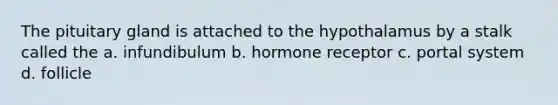 The pituitary gland is attached to the hypothalamus by a stalk called the a. infundibulum b. hormone receptor c. portal system d. follicle