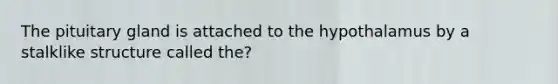 The pituitary gland is attached to the hypothalamus by a stalklike structure called the?