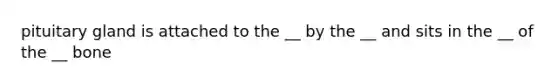 pituitary gland is attached to the __ by the __ and sits in the __ of the __ bone