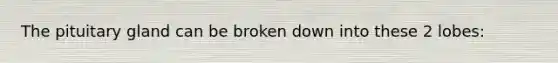 The pituitary gland can be broken down into these 2 lobes: