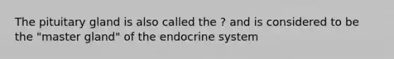 The pituitary gland is also called the ? and is considered to be the "master gland" of the endocrine system