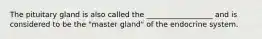 The pituitary gland is also called the __________________ and is considered to be the "master gland" of the endocrine system.