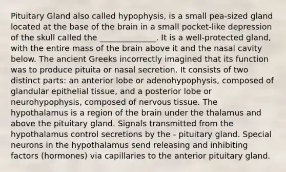 Pituitary Gland also called hypophysis, is a small pea-sized gland located at the base of the brain in a small pocket-like depression of the skull called the ______________. It is a well-protected gland, with the entire mass of the brain above it and the nasal cavity below. The ancient Greeks incorrectly imagined that its function was to produce pituita or nasal secretion. It consists of two distinct parts: an anterior lobe or adenohypophysis, composed of glandular epithelial tissue, and a posterior lobe or neurohypophysis, composed of nervous tissue. The hypothalamus is a region of the brain under the thalamus and above the pituitary gland. Signals transmitted from the hypothalamus control secretions by the - pituitary gland. Special neurons in the hypothalamus send releasing and inhibiting factors (hormones) via capillaries to the anterior pituitary gland.