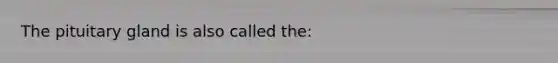 The pituitary gland is also called the: