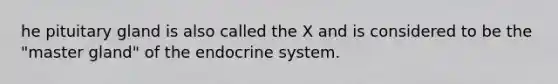 he pituitary gland is also called the X and is considered to be the "master gland" of the endocrine system.