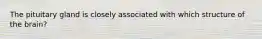 The pituitary gland is closely associated with which structure of the brain?