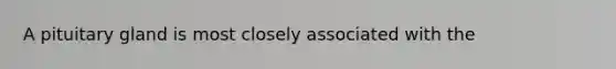 A pituitary gland is most closely associated with the