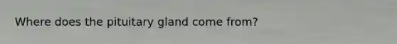 Where does the pituitary gland come from?