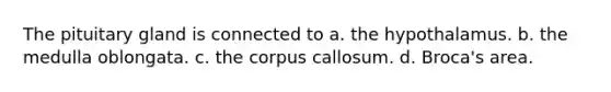 The pituitary gland is connected to a. the hypothalamus. b. the medulla oblongata. c. the corpus callosum. d. Broca's area.
