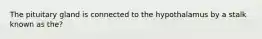 The pituitary gland is connected to the hypothalamus by a stalk known as the?
