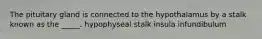 The pituitary gland is connected to the hypothalamus by a stalk known as the _____. hypophyseal stalk insula infundibulum