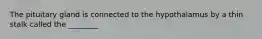 The pituitary gland is connected to the hypothalamus by a thin stalk called the ________