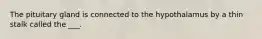 The pituitary gland is connected to the hypothalamus by a thin stalk called the ___.