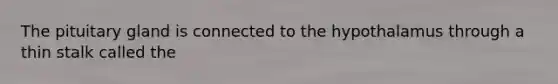 The pituitary gland is connected to the hypothalamus through a thin stalk called the