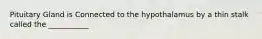 Pituitary Gland is Connected to the hypothalamus by a thin stalk called the ___________