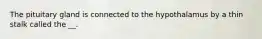 The pituitary gland is connected to the hypothalamus by a thin stalk called the __.