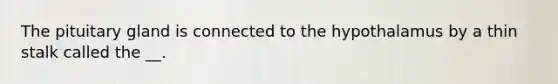 The pituitary gland is connected to the hypothalamus by a thin stalk called the __.